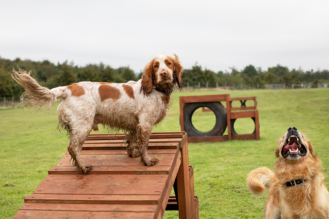 Bonnyton Farm, photographed by Jade Starmore