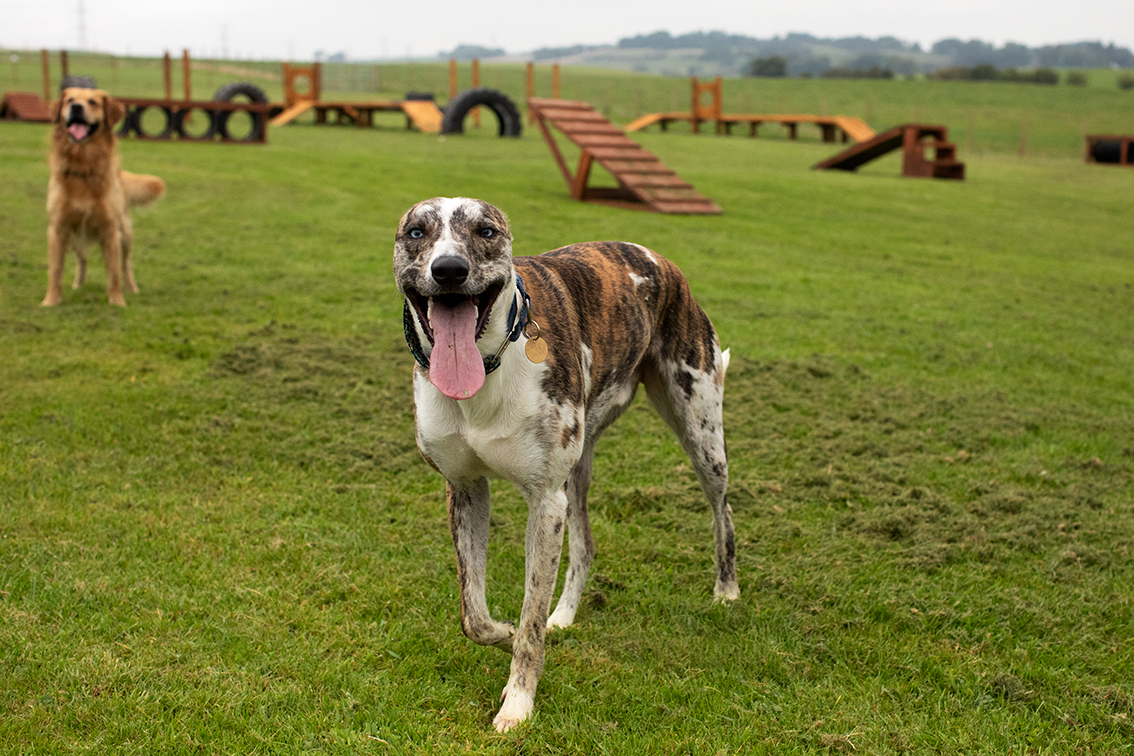 Bonnyton Farm, photographed by Jade Starmore