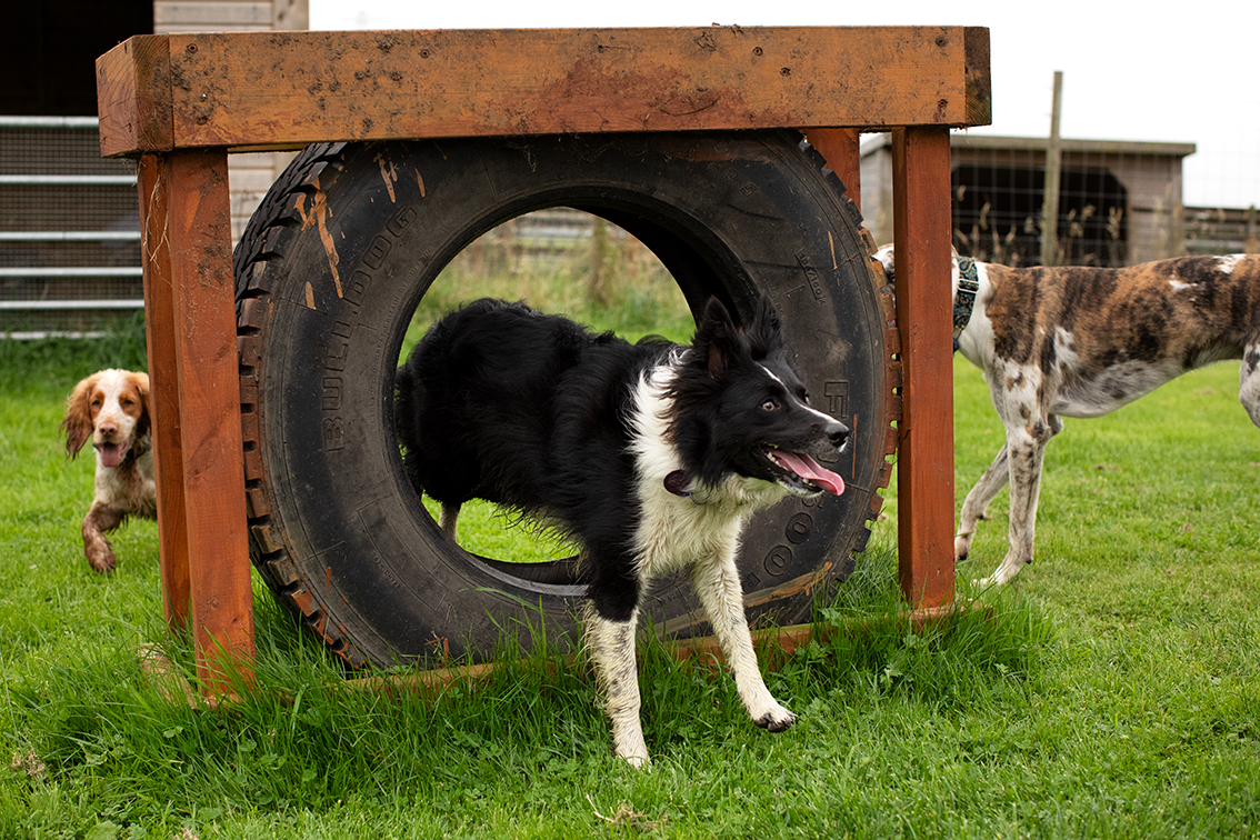 Bonnyton Farm, photographed by Jade Starmore