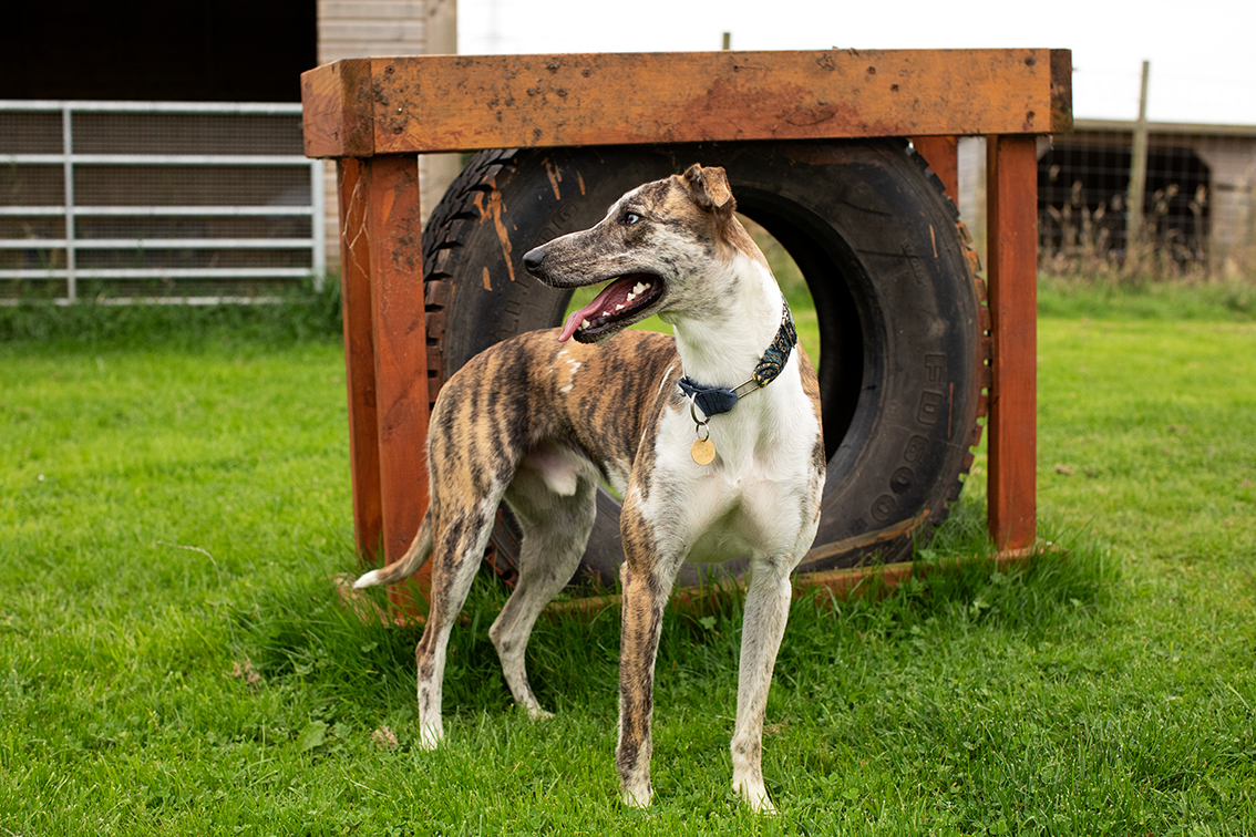 Bonnyton Farm, photographed by Jade Starmore