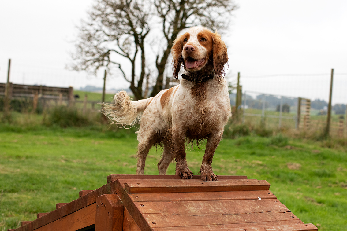 Bonnyton Farm, photographed by Jade Starmore